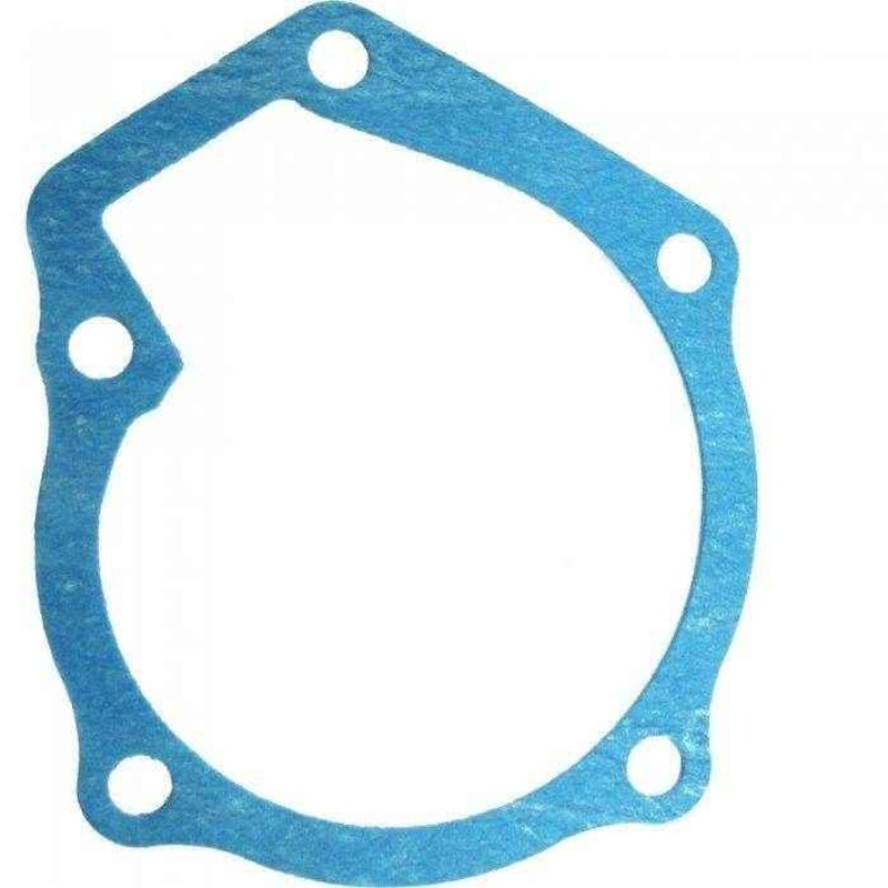 Fresh Water Pump Gasket 411315