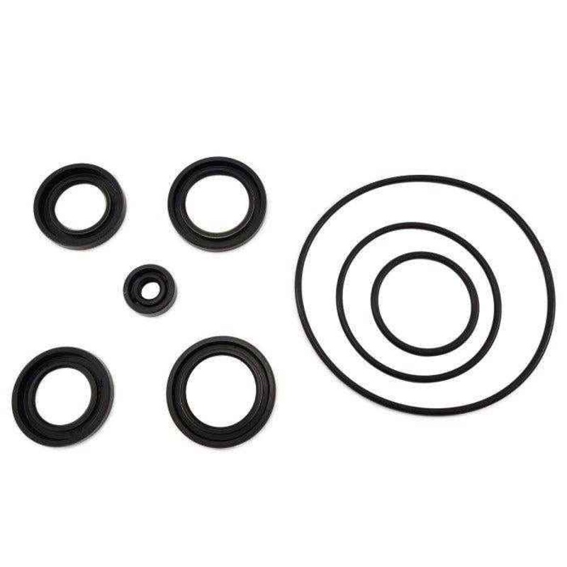 Seal Kit Lower Unit Gearcase | Suzuki 25700-98J01