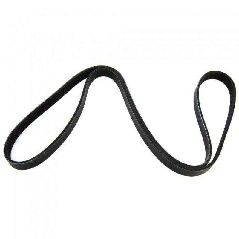 Belt Serpentine | Crusader R066024