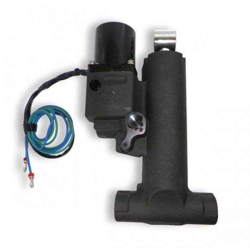 Johnson Evinrude Single Ram Hydraulic Lift Assembly | Johnson Evinrude 5008949