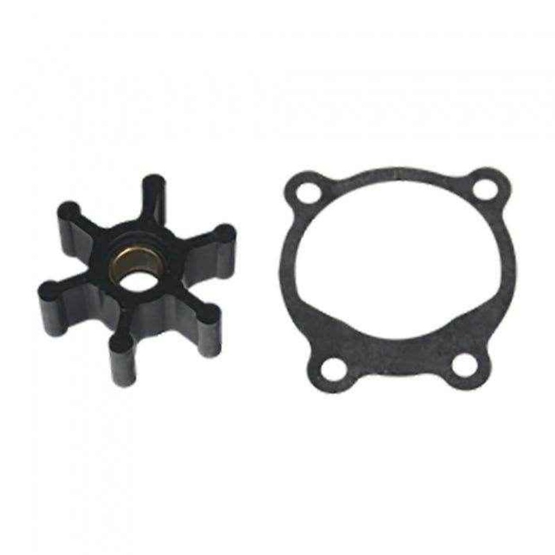 Repair Kit for Pump OP-6 and OP-700 | Reverso Pumps 38-0360
