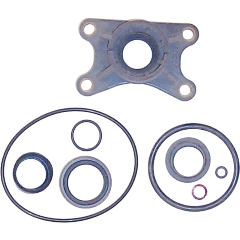 OMC Lower Gearcase Seal Kit | Sierra 18-2791